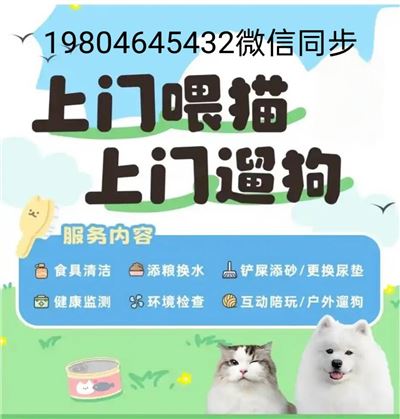 上门喂猫，遛狗
